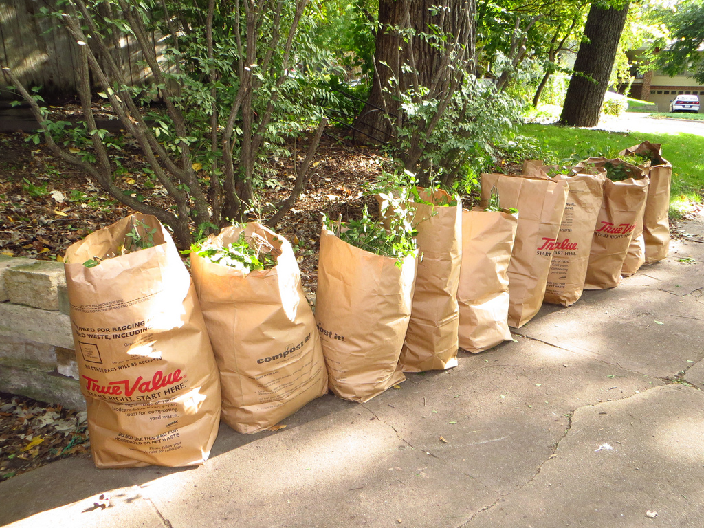 http://www.gcpvd.org/wp-content/uploads/2014/04/yard-waste-bags-flickr.jpg